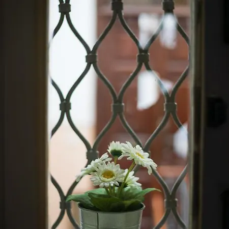 Bed & Breakfast Terrazza Santa Chiara 3*